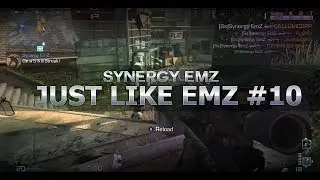 Synergy EmZ : 