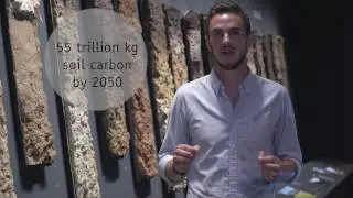 How soil carbon loss could accelerate global warming