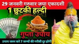 29 जनवरी गुरुवार जया एकादशी व्रत के दिन 1 छुटकी हल्दी वाला उपाय जरुर करे #premanandji