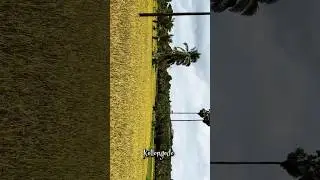 #kollangode 🧞&zwj;♂️