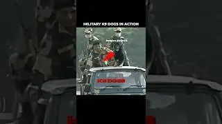 Military K9 Dogs in Action 🤯