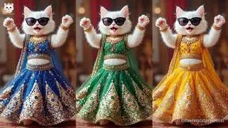 😻👗Cutest Cat videos funny dance🤣💃Videos for cats{PART 3}#funny #dancingcat#cat#cutecats