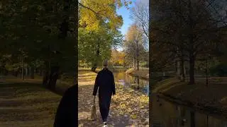 golden autumn 🍂 #lifestyle #autumnmood #aesthetic