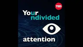 TikTok&rsquo;s Transparency Problem