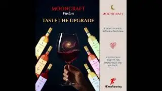 🍷 Premium Wine Experience | Sip, Savor & Celebrate in Style 🥂