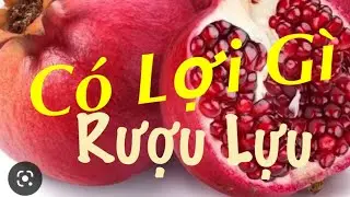 Cách Làm Rượu Lựu - Uống Rượu Lựu Được Gì - Lợi Ích Của Rượu Lựu - Ông Già Phạm
