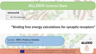 Binding free energy calculations for synaptic receptors