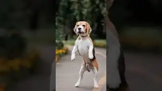 Groovy Paws: Pets Breaking It Down! 😂🎶 #PetDanceChallenge #SillyPets
