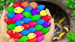Secret Pond Holds GIANT Dragon Guppies & Terrifying Creatures! 🐠