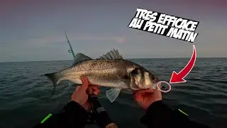COMMENT P&Ecirc;CHER FACILEMENT DU POISSON DU BORD AVEC UNE TECHNIQUE ULTRA SIMPLE ? 🎣