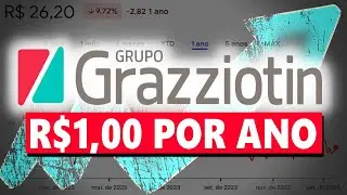 CGRA4: GRAZZIOTIN REMUNERA O ACIONISTA MAIS DE 1 REAL EM DIVIDENDOS POR ANO. VALE A PENA INVESTIR?