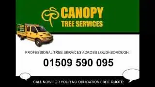 Tree Surgeons in Loughborough | Canopy Tree Services 01509 590 095