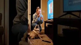 Dog Tring to Switch off TV | #cutedog #sweety #innocent #wow🥰