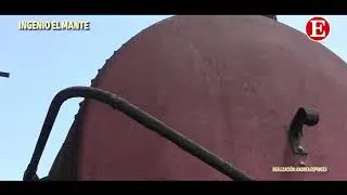 INGENIO EL MANTE REPORTAJE 2019