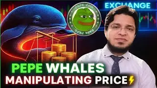 PEPE Coin Breaking News ⚡ Huge Exchange Outflows & Bullish Rally