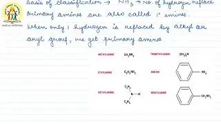 3 | PRIMARY AMINES