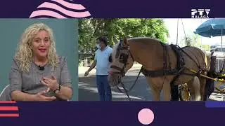 ▶️M&aacute;laga TeV&eacute; 🗣️💬 Con Bego&ntilde;a Medina,Jacobo Florido, Noelia L. y Remedios R. |Viernes 24 febrero 2023