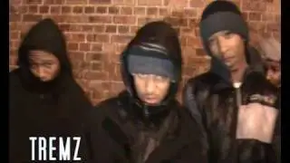 YRS-STRAPPED UP FREESTYLE-LEVZ,TREMZ,RIOTZ (STREETZ SELECTED)