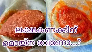moina culture malayalam/മൊയ്‌ന ഇനി ഉണ്ടാകും | moina culture easy method/moina culture/  niya bettas
