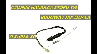 #172 CZUJNIK STOPU TYLNEGO HAMULCA BUDOWA I ZASADA DZIAŁANIA