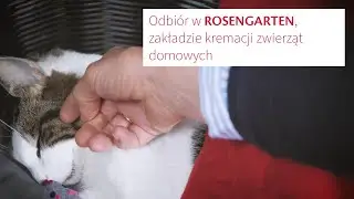 Odbi&oacute;r w ROSENGARTEN, zakładzie kremacji zwierząt domowych