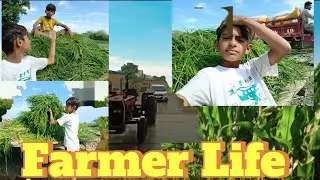 Farmer life 😍||Masjid ki safi ki 😍