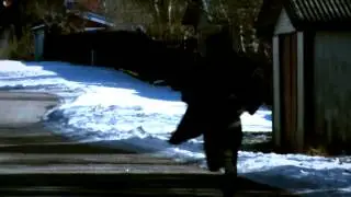 WINTER DAWN - My Desolation