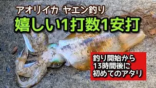 アオリイカ ヤエン釣り  2024年4月27日土曜日 三重県にアオリイカ ヤエン釣りに行って来ました。釣果は1.29kgの障泥烏賊1杯です 嫁のいーちゃんとの釣行です #ヤエン釣り#アオリイカ釣り