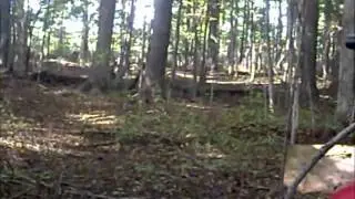Azodin Zenith Shooting