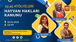 Hayvan Hakları Kanunu - Av. Hülya YALÇIN