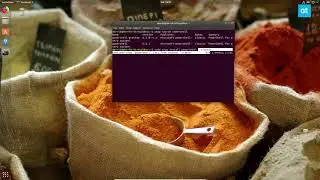 How to get Microsoft Powershell on Linux
