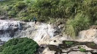 Dinosaur tracks in the Andes Mountains!