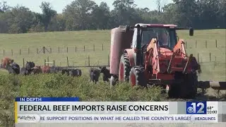Mississippi farmers struggle with trade tensions, rising costs