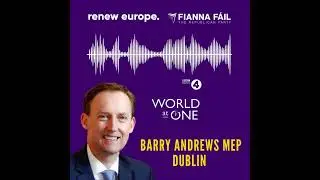 Barry Andrews MEP: Northern Ireland protocol, the Trade and Cooperation Agreement