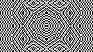 Optical Illusion Black and White Animation