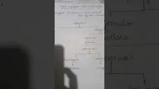 five kingdom classification #organism #biology rrb group d #ntpc#sscreation