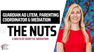 Guardian Ad Litem Parenting Coordinator Mediation