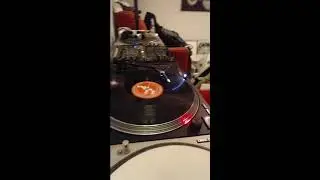 vinyling 28/01//2026