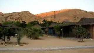Oman Dive Center, November 2010