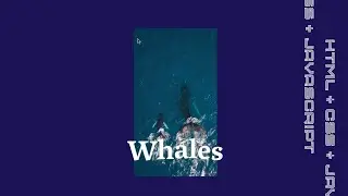 🖱 Smooth Scroll Open Source 03 | HTML & CSS