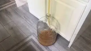 Grain to Glass Summer Squeeze Lemon Shandy