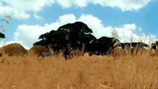 Zoo Tycoon 2 Radical Remake Official Sneak Peak