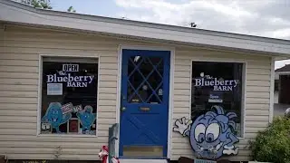 The Blueberry Barn - A Fork in the Road