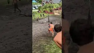 People ride boards down muddy slope in Gold Coast, Australia