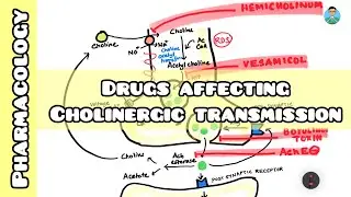 Drugs affecting cholinergic transmission | Pharmacology