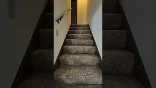 2031 Scenic Drive Apartment Walk Thru