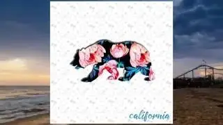 Silent Pilot - California (Single)