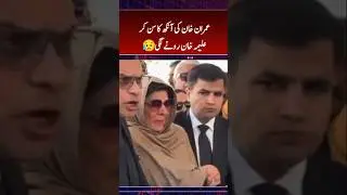 aleema Khan ki press conference