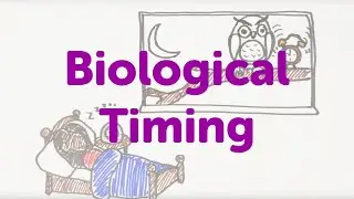 Minute Lectures: Biological Timing