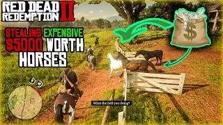 How to Steal $5000 Worth Horses | Horse Flesh For Dinner | Red Dead Redemption 2